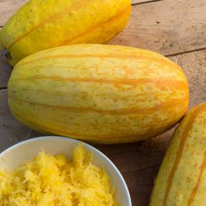 Courgette Végétable Spaghetti